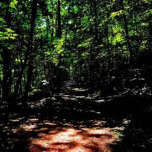 Blades Cut Through Ice (Explicit)