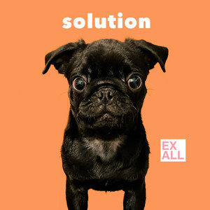 Solution