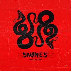 Snakes