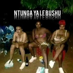 Ntunga yale Bushbuckrich (feat. Steezy jay rsa) (Explicit)
