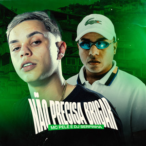 Não Precisa Brigar (Explicit)