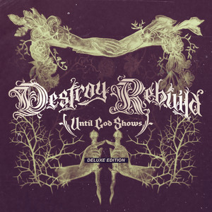 DESTROY REBUILD (Deluxe Edition) [Explicit]