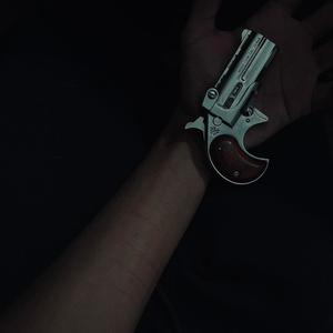 22lr (Explicit)