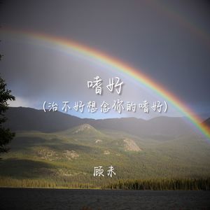 嗜好（治不好想念你的嗜好）