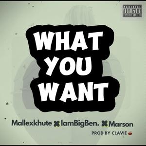 WHAT U WANT (feat. BigBen & Marson)