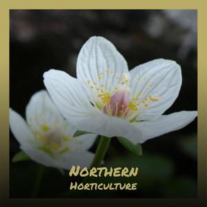 Northern Horticulture