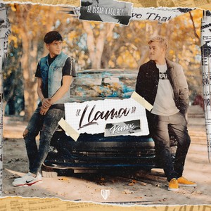 Llama (Remix)