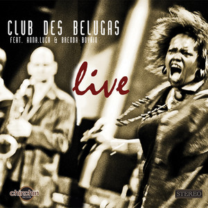 It's a Beautiful Day (Live)