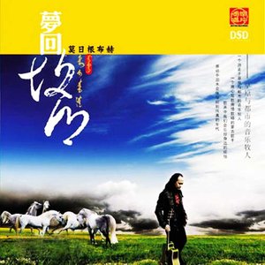 说声我爱你