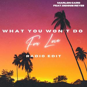 What You Won't Do For Love (Radio Edit)