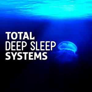 Total Deep Sleep Systems