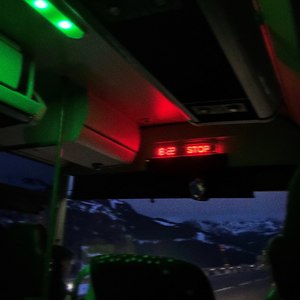 all too quiet on the night bus