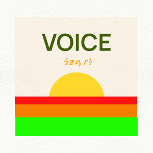 Voice