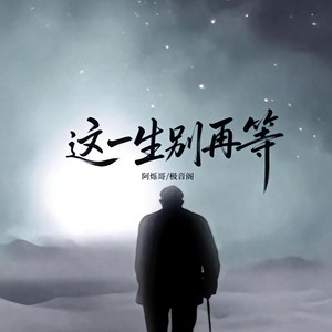 这一生别再等