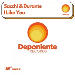 I Like You (Radio Edit)