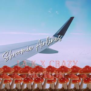 Shroomie Airlines (feat. Crazy Motion) [Explicit]