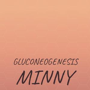 Gluconeogenesis Minny