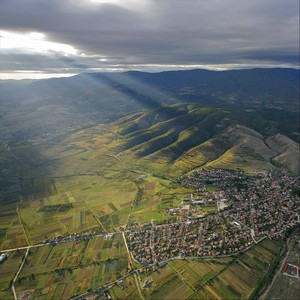 Everything(feat. Tonymays) (Explicit)