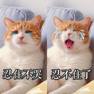 despacito 西语翻唱