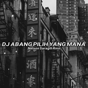 DJ ABANG PILIH YANG MANA X MASHUP VIRAL