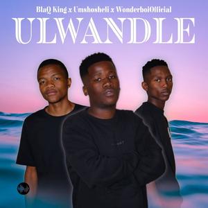 01.ULwandle (Explicit)