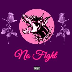 No Fight (Explicit)