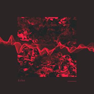 Echo