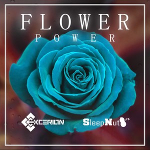 Flower Power (Excerion Remix)