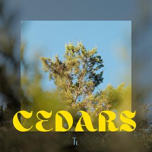 CEDARS