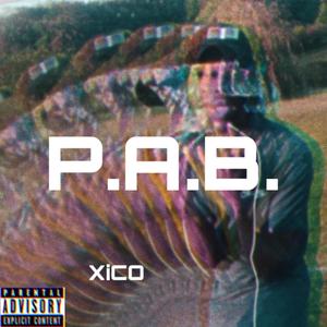 P.A.B. (Explicit)