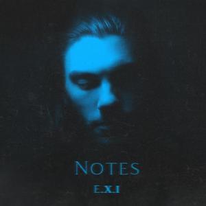 Notes (Explicit)
