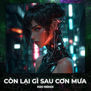 Còn Lại Gì Sau Cơn Mưa (Remix House)