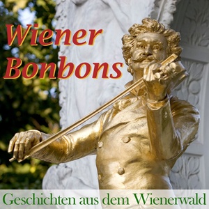 Wiener Bonbons - Geschichten aus dem Wienerwald - Der Zigeunerbaron (Einzugsmarsch)
