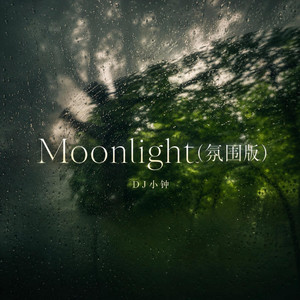 Moonlight (氛围版)