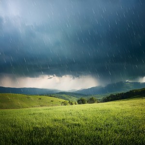 The Memory Held By Wet Earth