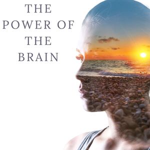 The Power of the Brain: Concentration Songs to Help You Study & Improve Focus Skills