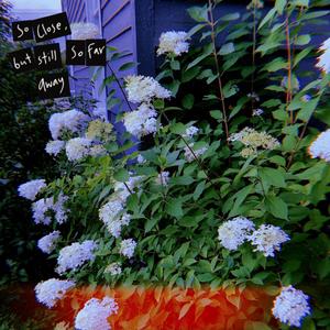 So Close, but Still So Far Away