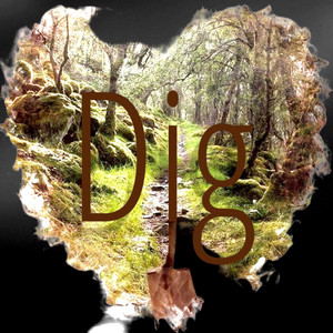 Dig