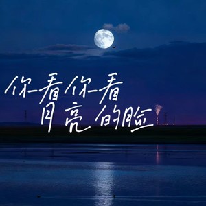 水晶晶 - 你看你看月亮的脸 (心碎女版)