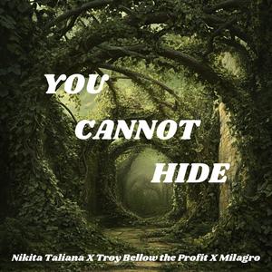 You Cannot Hide (feat. Troy Bellow the Profit & Milagro) [Explicit]