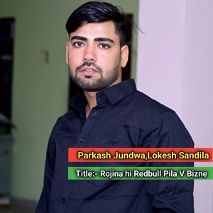 Rojina Hi Redbull Pila V Biznes