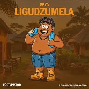 Do Pfa (feat. Dj Micro)