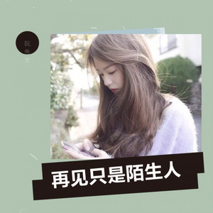 再见只是陌生人