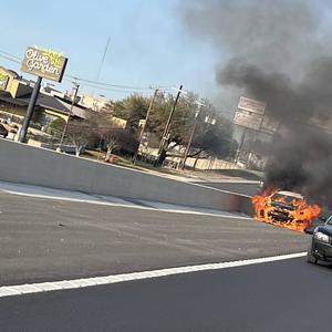 BUTTERFLIES N GASOLINE