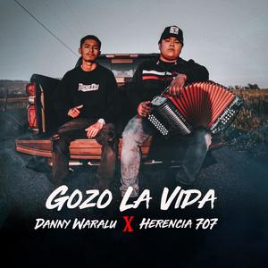 Gozo La Vida