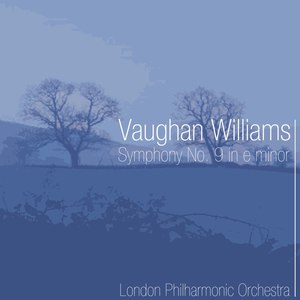 Symphony No.9 In E Minor - I. Allegro Moderato / II. Andante Sostenuto