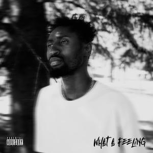 What a feeling (WTF) [Explicit]