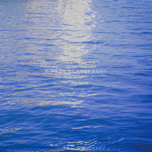 빈 곳이 많아 작은 바람에도 흔들리어 (Theres a lot of empty space, and its shaken by the wind.)