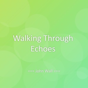 Walking Through Echoes