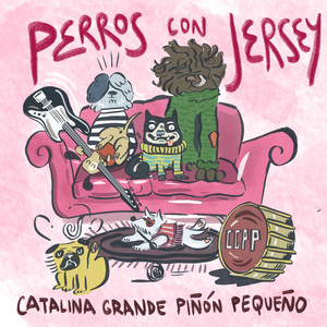 Perros con Jersey